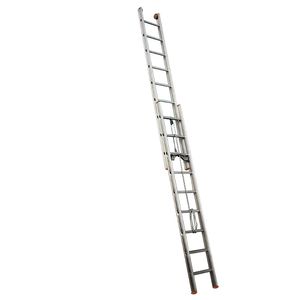 Professionelle Leiter / Arbeit