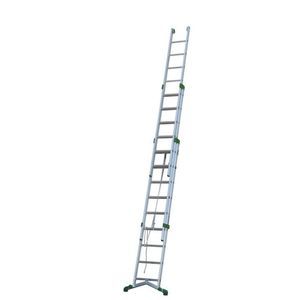 Professionelle Leiter / Arbeit