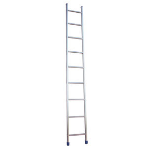 Professionelle Leiter / Arbeit