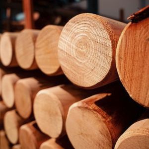 Holzträger