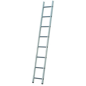 Professionelle Leiter / Arbeit 1