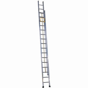 Professionelle Leiter / Arbeit