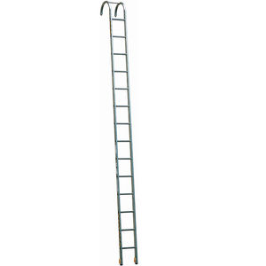 Professionelle Leiter / Arbeit