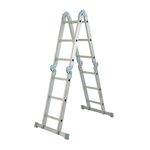 Professionelle Leiter / Arbeit