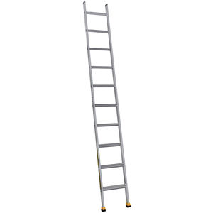 Professionelle Leiter / Arbeit 1