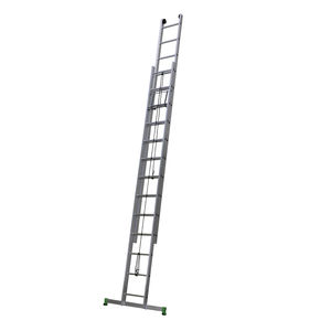 Professionelle Leiter / Arbeit