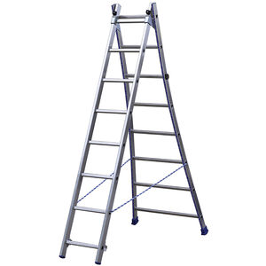 Professionelle Leiter / Arbeit