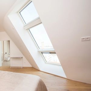 Aluminium-Dachfenster 1