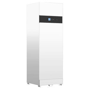 Heizkessel mit Warmwasserbereiter 1
