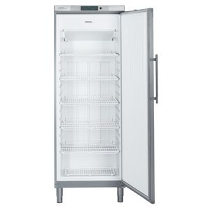 Profi-Gefrierschrank 1