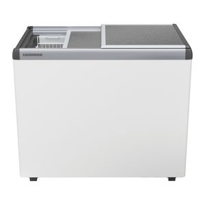 Profi-Gefrierschrank