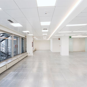 Abgehängte Decke / Stahl