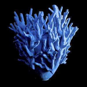 moderne Vase 1