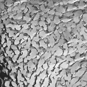 Struktur-Metallblech