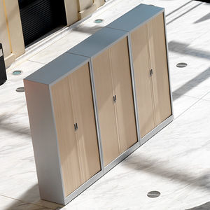 hoher Aktenschrank