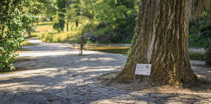 Schild zur Orientierung