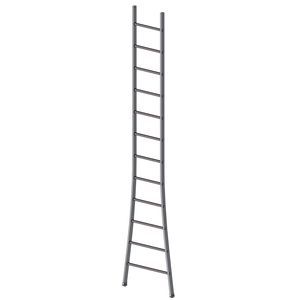 Professionelle Leiter / Arbeit