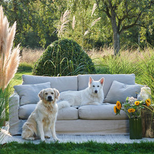 modernes Sofa