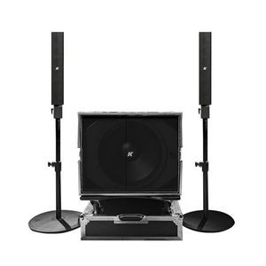 Subwoofer / Line Array
