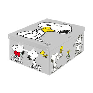 Karton-Aufbewahrungsbox