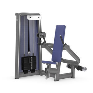Dips-Fitnessgerät