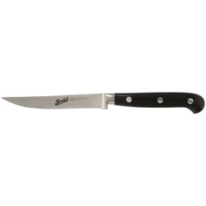 Steakmesser mit Harzgriff 1