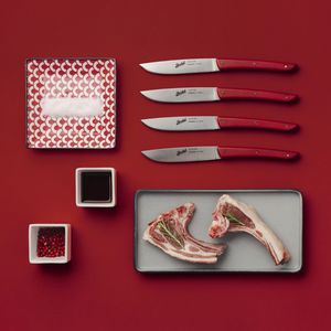 Steakmesser mit Kunststoffgriff 1