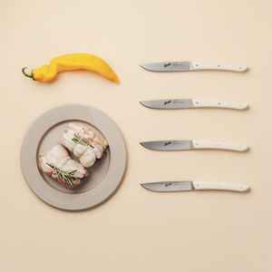 Steakmesser mit Kunststoffgriff 1
