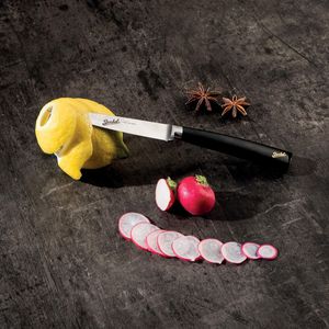 Küchenmesser mit Harzgriff