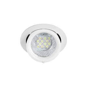 Downlight für Pflanze