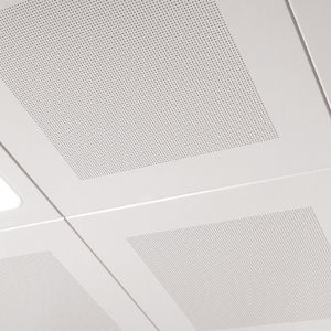 Zwischendecke / galvanisiertem Stahl