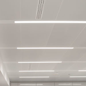 Zwischendecke / galvanisiertem Stahl