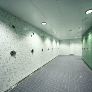 PVC-Platte für Decke