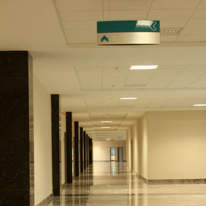 Schallschluckplatte für Decke