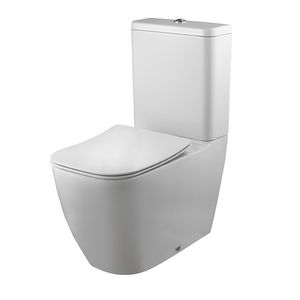 WC in Wandnähe 1