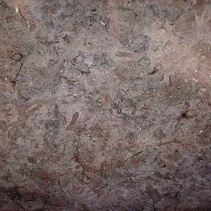 Marmor-Steinplatte 1