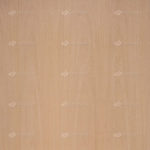 Holzfurnier 1
