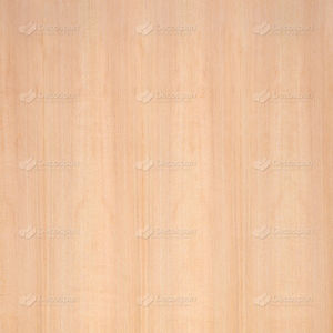 Holzfurnier 1