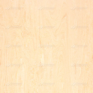 Holzfurnier 1