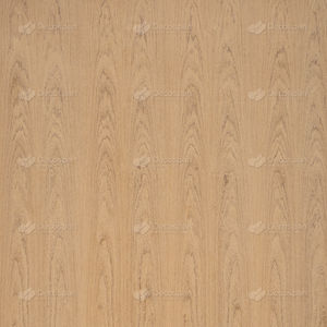 Holzfurnier 1