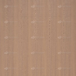 Holzfurnier 1