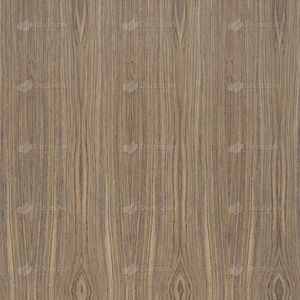 Holzfurnier 1