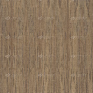 Holzfurnier 1