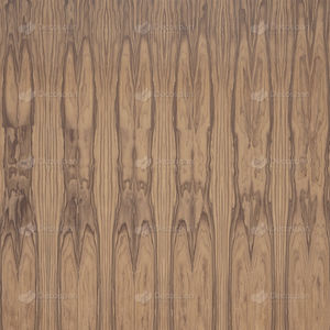 Holzfurnier 1