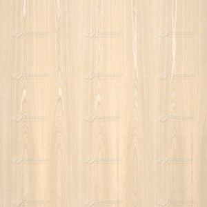 Holzfurnier 1