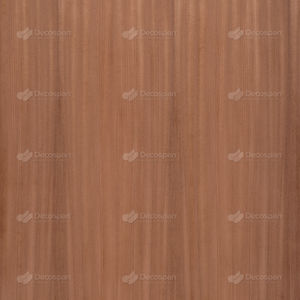 Holzfurnier 1