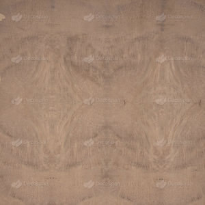 Holzfurnier 1