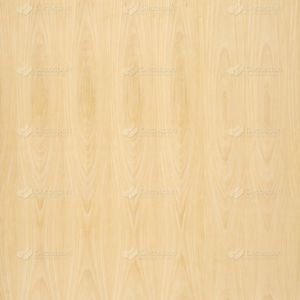 Holzfurnier 1