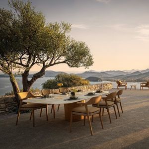 Esstisch / organisches Design 1