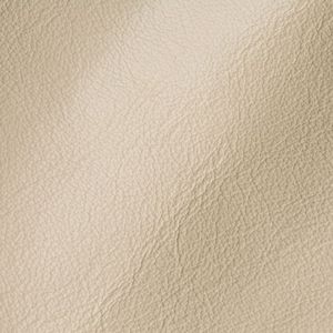 Leder-Wandverkleidung 1